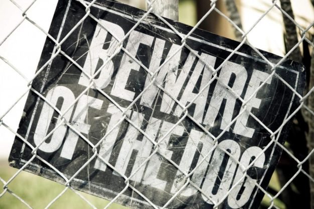 dog-warning