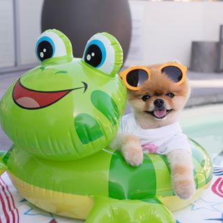 Jiff