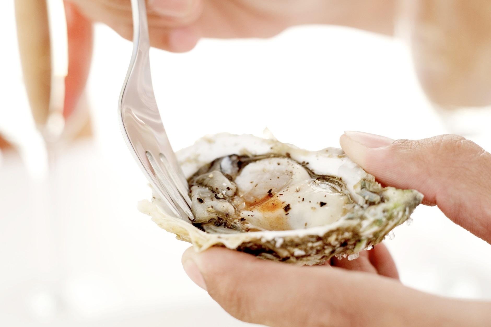 Big fan of oysters Watch out for deadly Vibrio bacteria in California! Big fan of oysters? Watch out for deadly Vibrio bacteria in California!