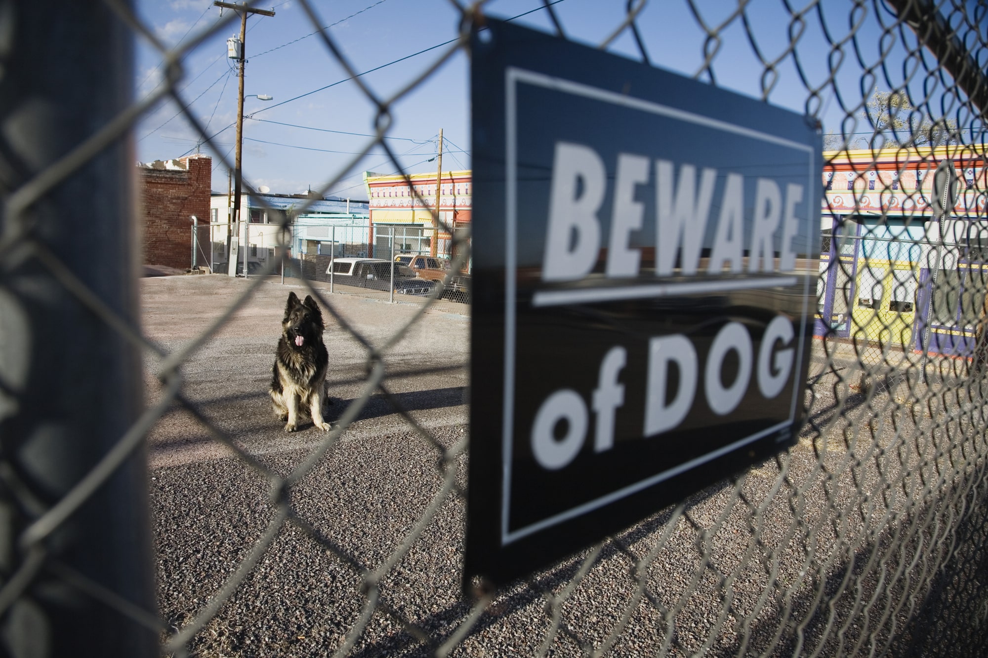 Mental Therapy And Dog Bite Lawyer