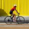 Urban Vs Rural Bicycle Accident Risks